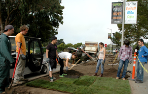 A photo of group of students unrolling green sod onto the ground