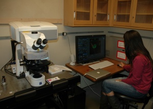 A photo of Lab Assistant Thais G. Cintra sitting at the new Carl Zeiss LSM 710 confocal laser scanning microscope