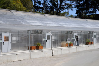 Photo of exterior of University greenhouse