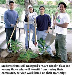 Photo of a group of students planting ferns as part of a community service learning course