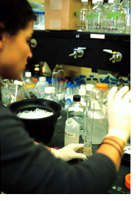 Photo of a  female student working in an SF State lab