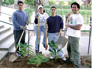 Photo of a group of students, shovels in hand, who are planting plants as part of a community service learning class