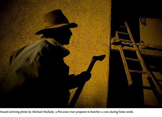 Award-winning photo by Michael Mullady: a Peruvian man prepares to butcher a cow during fiesta week.
