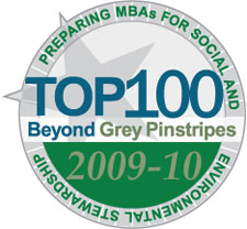 The logo from the 2009-10 Beyond Grey Pinstripes survey