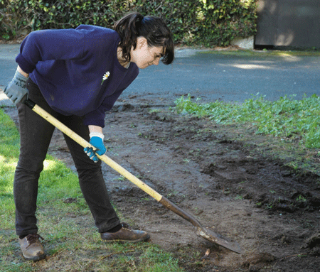 A photo of SF State senior Leanne Felly digging up turf. 