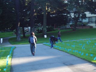 Student walking down path near the Quad where blue flags are inserted