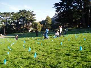 Five students planting flags in the lawn