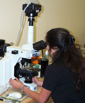 Photograph of Professor Carmen Domingo looking into a microscope in her lab.