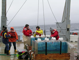 A photograph of Senior Research Scientist William Cochlan and four colleagues on board the research vessel Thomas G. Thompson  on the rough seas of the subarctic northeast Pacific Ocean. They are conducting iron enrichment experiments and the image shows them with large bottles containing ocean water samples.