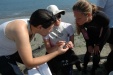 A photo of students identifying a fish.