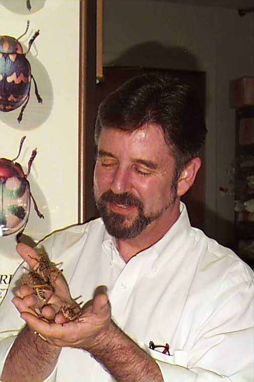Norm Gershenz holding some Eastern lubber grasshoppers
